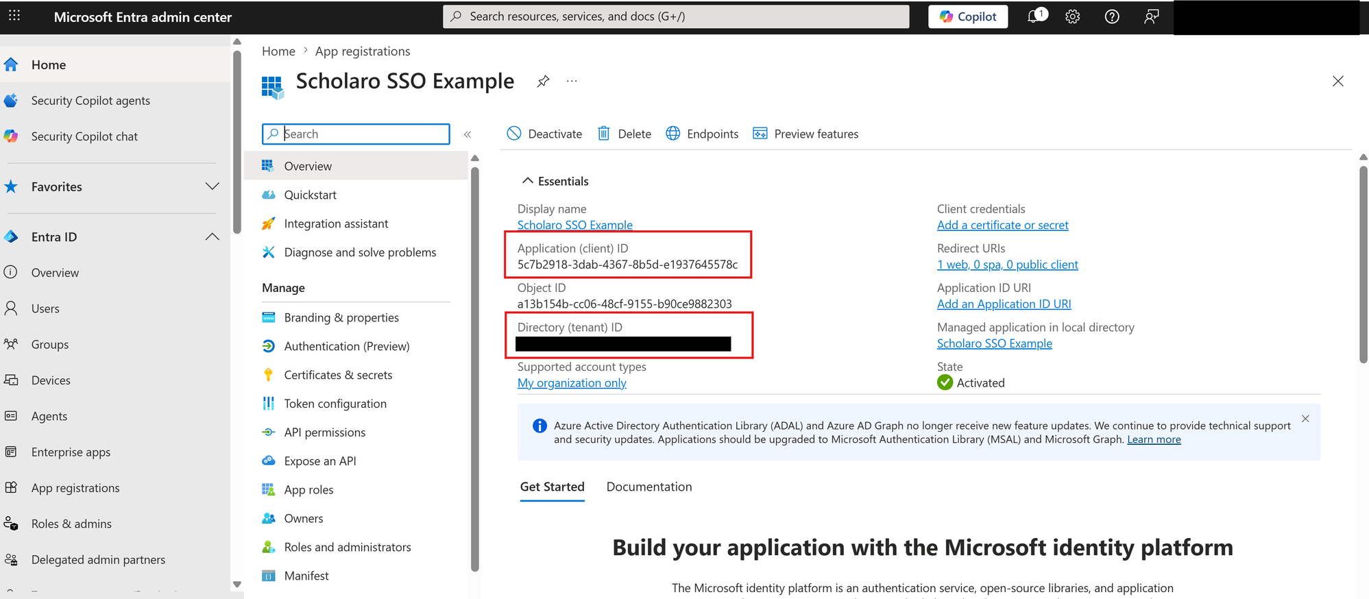 Application Overview page showing the client and tenant IDs